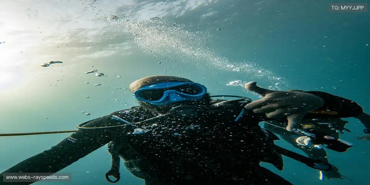 全息投影呈现·成就巅峰时刻🔬